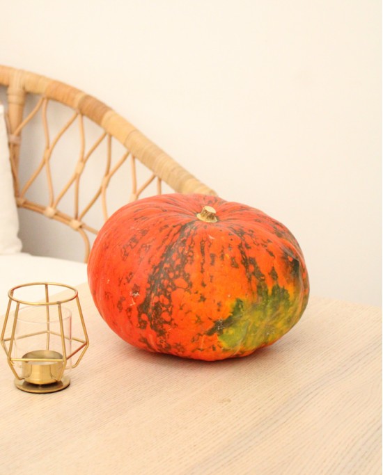 Calabaza Grande Rouge
