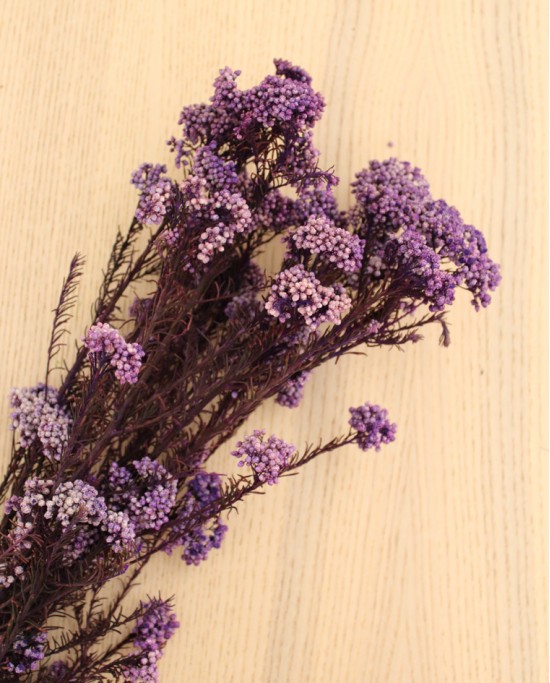 Flor de Arroz Purpura